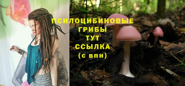 СК Верея