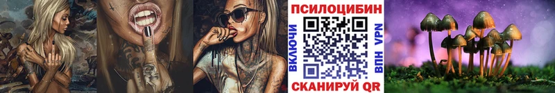 mega ССЫЛКА  Киселёвск  Псилоцибиновые грибы Cubensis 